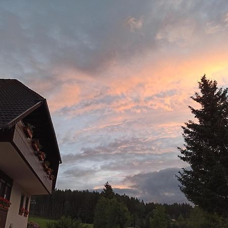 Ferienwohnung Brentenholz St. Georgen im Schwarzwald Exterior foto