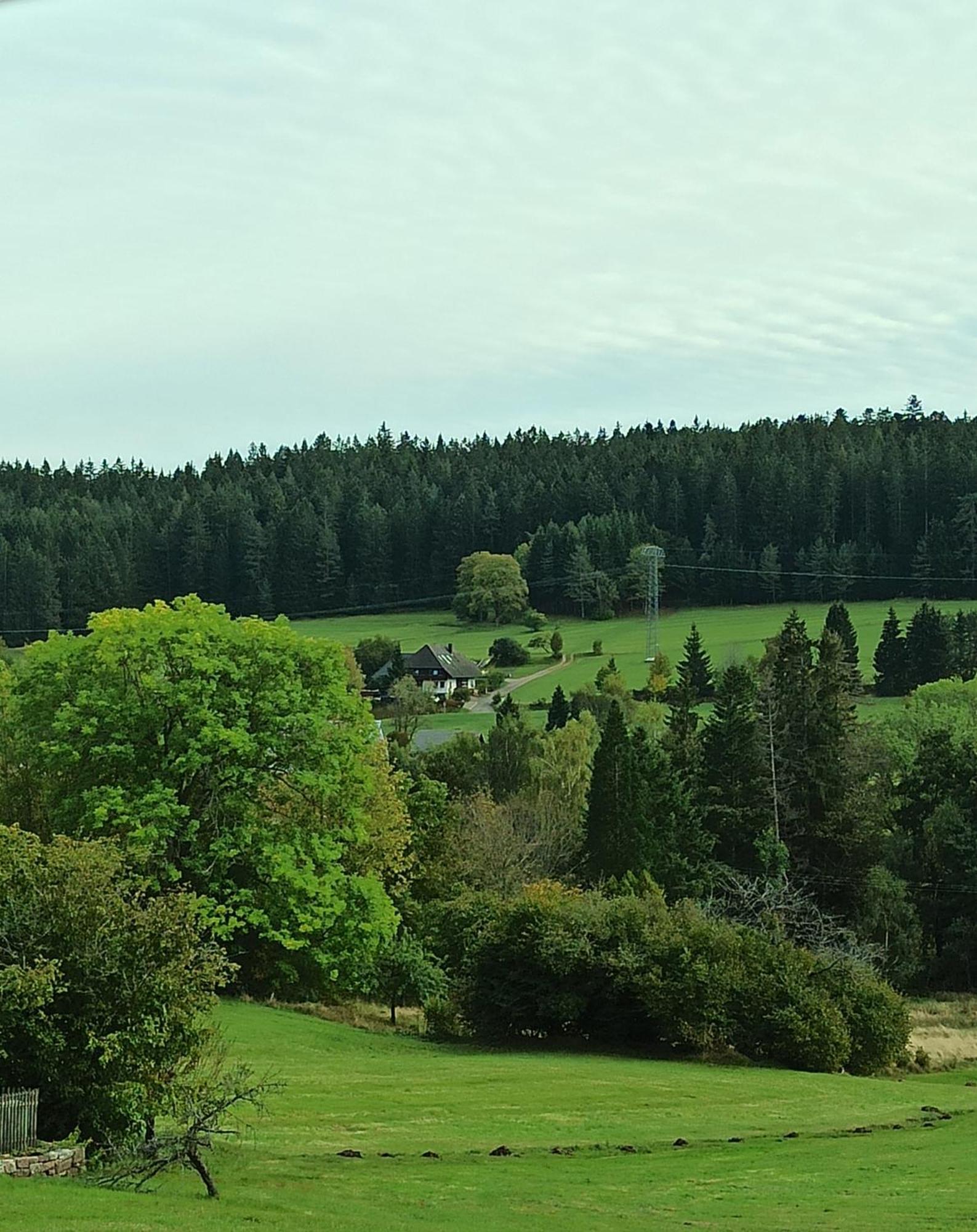 Ferienwohnung Brentenholz St. Georgen im Schwarzwald Exterior foto
