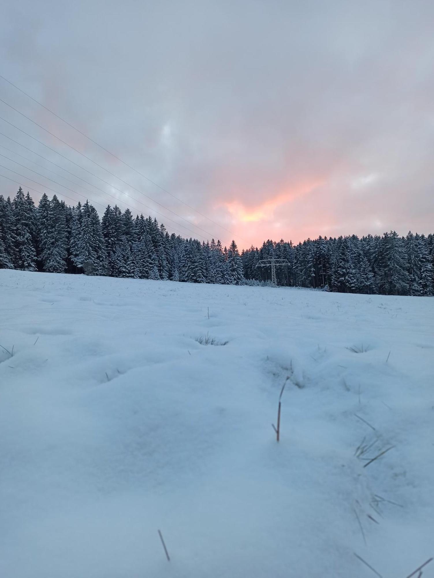 Ferienwohnung Brentenholz St. Georgen im Schwarzwald Exterior foto